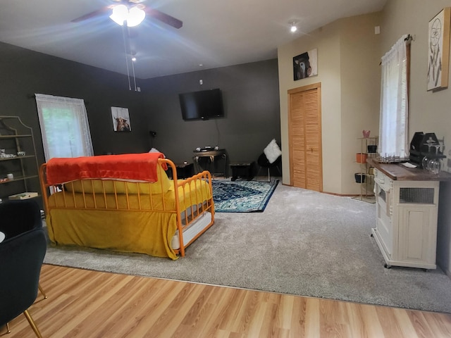 living area featuring ceiling fan and wood finished floors