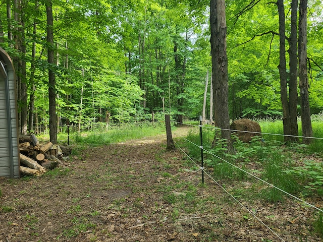 view of yard featuring a view of trees