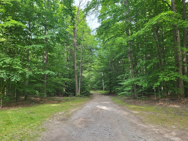 view of road with a view of trees