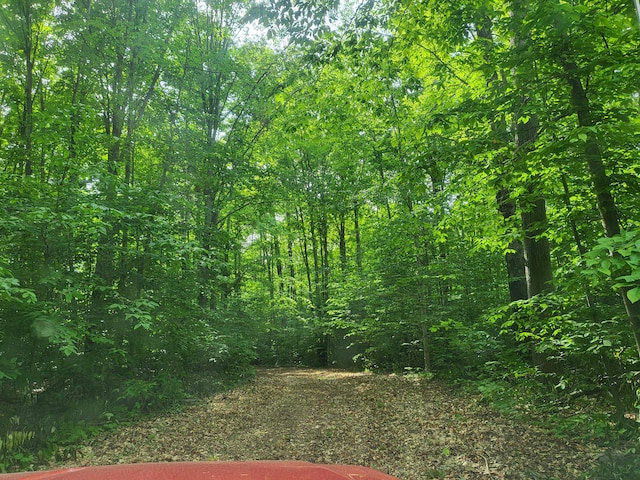 view of nature with a wooded view