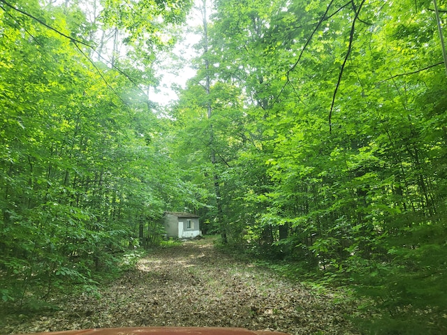 view of yard featuring an outbuilding and a wooded view