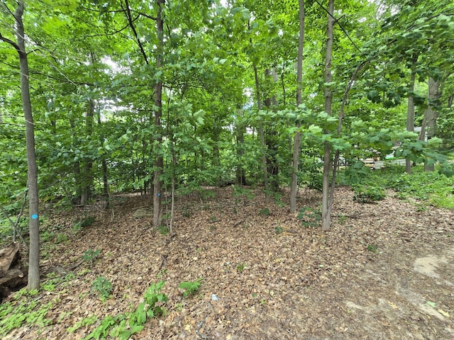 10 Goldfinch St, Gaylord, MI 49735