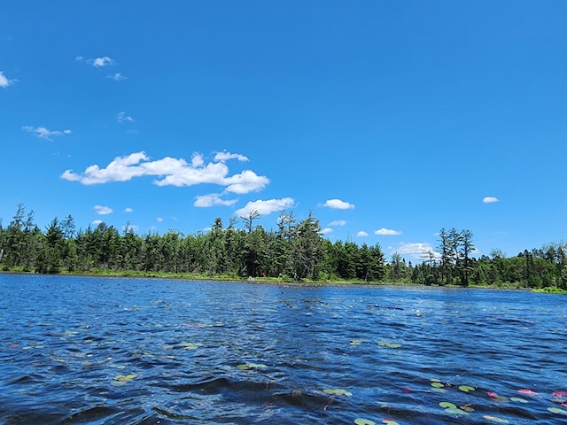 property view of water with a forest view