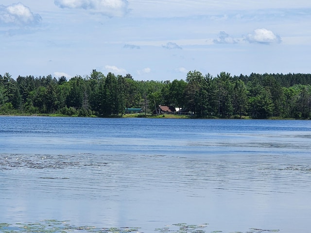 property view of water with a view of trees