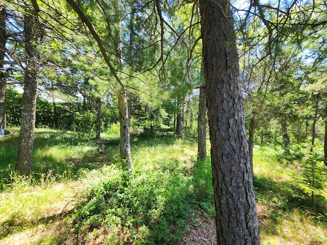 view of nature featuring a wooded view