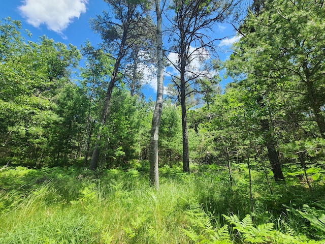 view of local wilderness featuring a view of trees