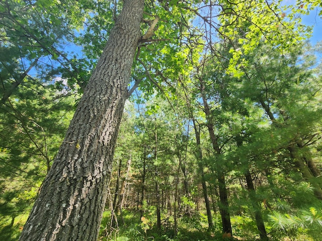 view of landscape with a view of trees