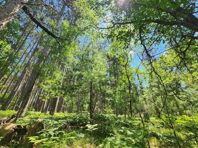 view of nature featuring a view of trees