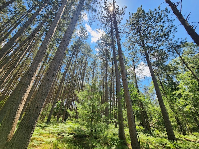 view of nature with a wooded view