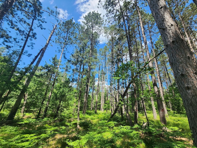 view of landscape with a forest view