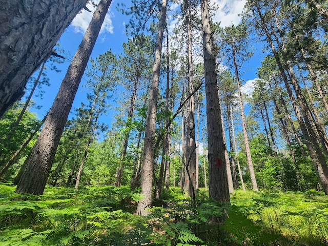 view of nature with a forest view