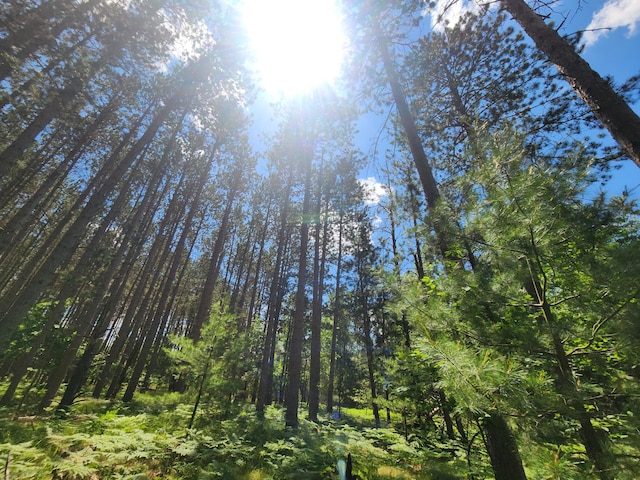 view of nature with a wooded view