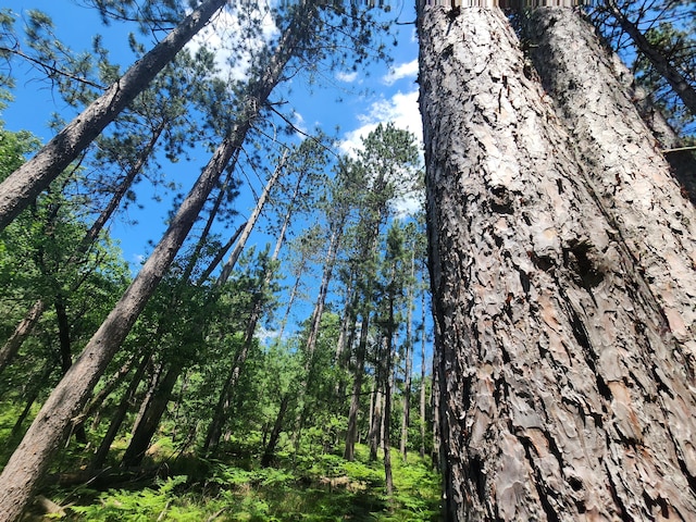 view of nature