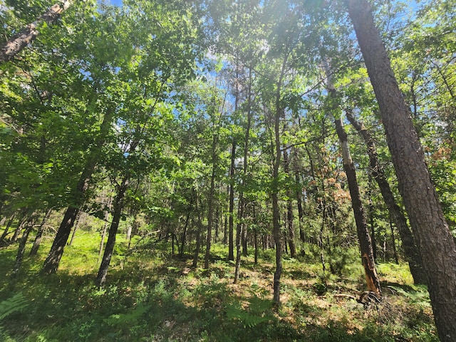 view of landscape with a forest view