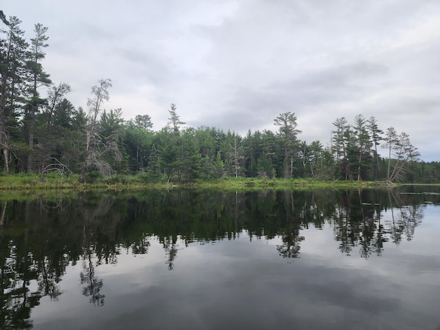 property view of water with a wooded view