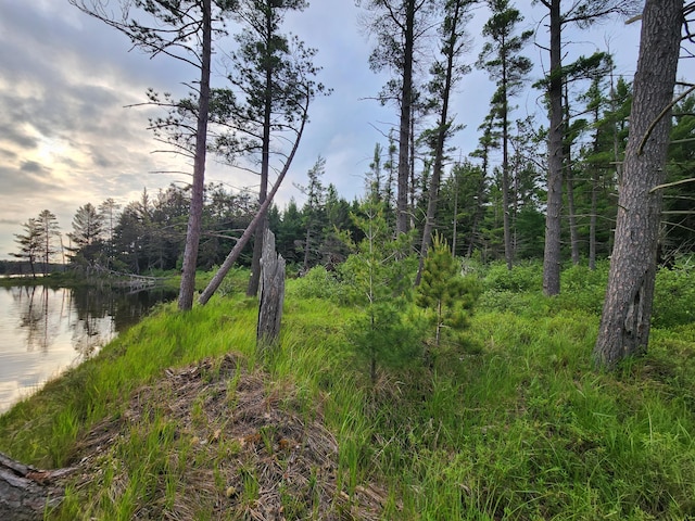 view of nature with a wooded view and a water view