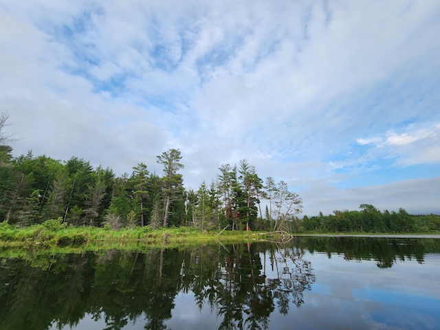 property view of water featuring a wooded view