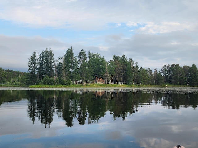 property view of water featuring a wooded view