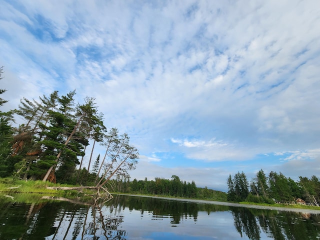 water view with a wooded view