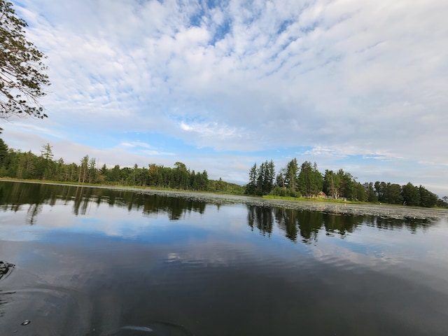 property view of water with a forest view