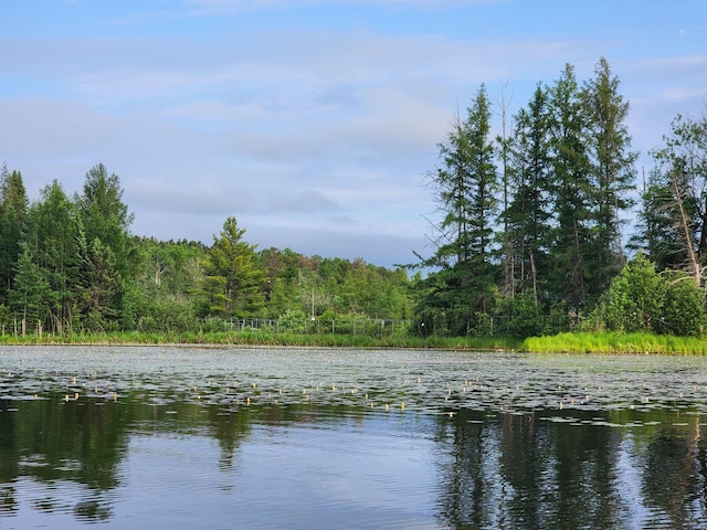 property view of water featuring a forest view