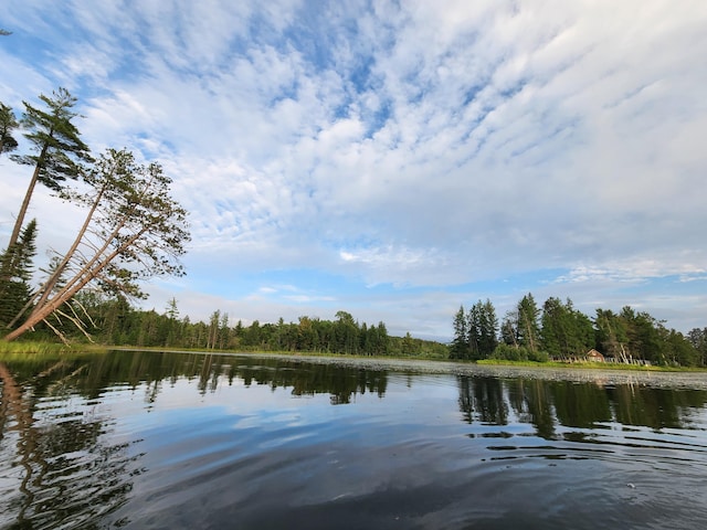 water view featuring a view of trees