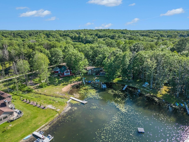 drone / aerial view with a forest view and a water view