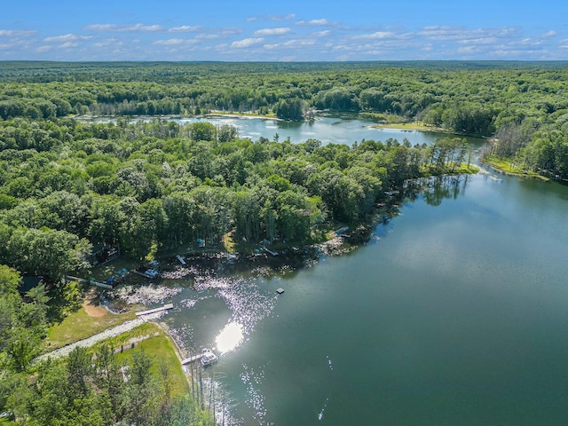 birds eye view of property featuring a wooded view and a water view