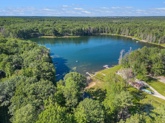 bird's eye view featuring a forest view and a water view