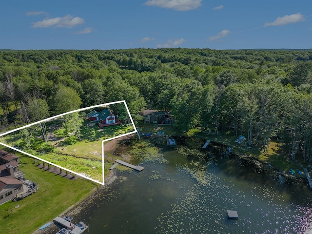 aerial view featuring a view of trees and a water view