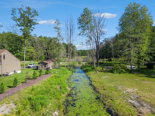 view of yard featuring a forest view