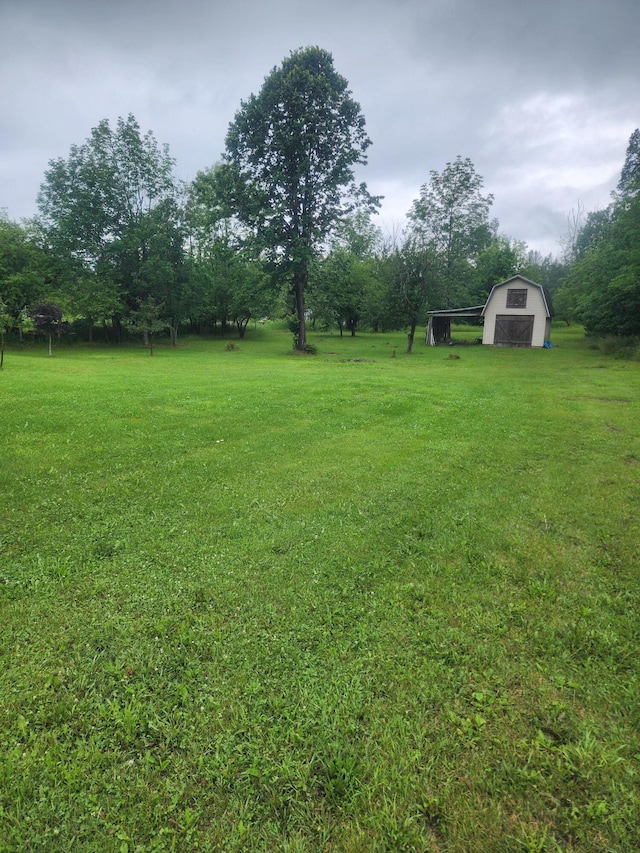 view of yard featuring an outdoor structure