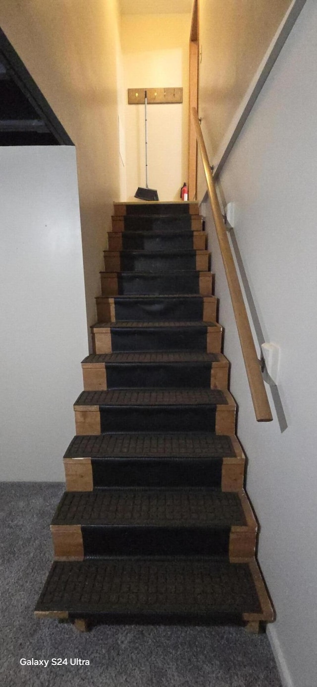 stairway with carpet flooring