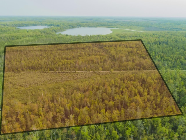 Off Big Cut Highway, Millersburg, MI 49759 - photo 2
