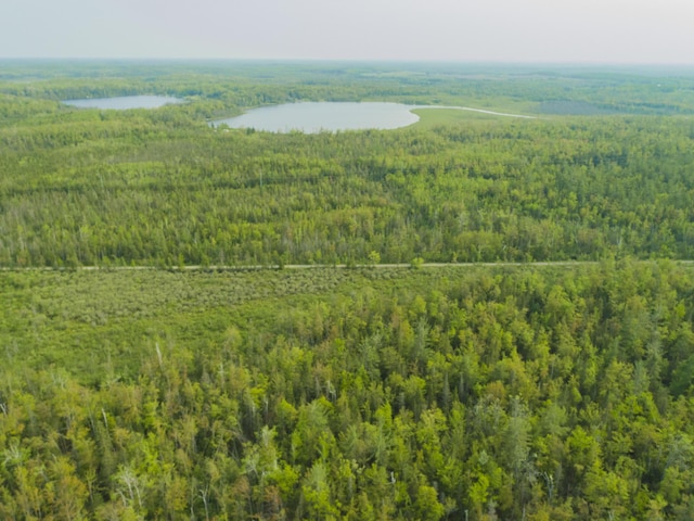 Off Big Cut Highway, Millersburg, MI 49759 - photo 1