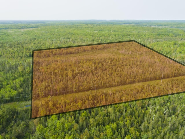 Off Big Cut Highway, Millersburg, MI 49759 - photo 4