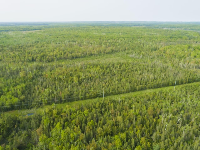 Off Big Cut Highway, Millersburg, MI 49759 - photo 3