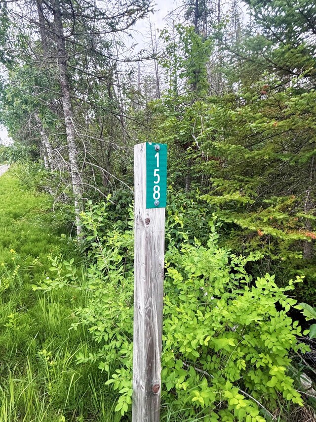 Off Big Cut Highway, Millersburg, MI 49759 - photo 11