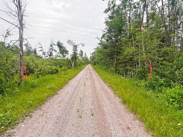 Off Big Cut Highway, Millersburg, MI 49759 - photo 8