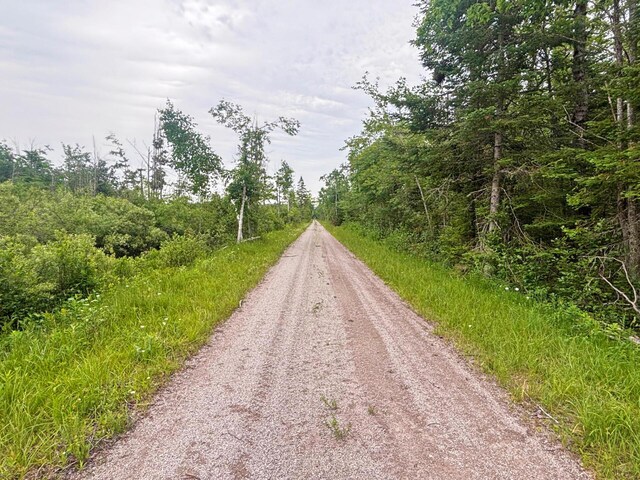 Off Big Cut Highway, Millersburg, MI 49759 - photo 6