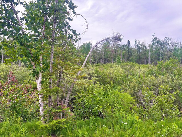 Off Big Cut Highway, Millersburg, MI 49759 - photo 18