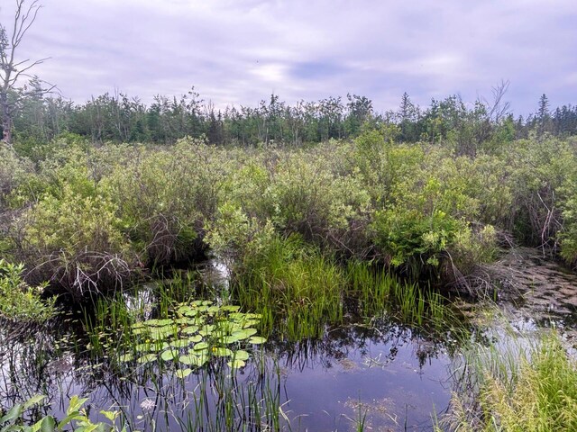 Off Big Cut Highway, Millersburg, MI 49759 - photo 19