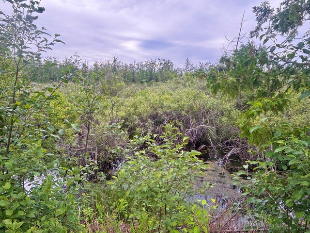 Off Big Cut Highway, Millersburg, MI 49759 - photo 20