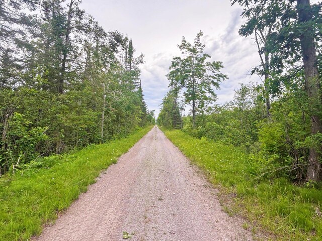 Off Big Cut Highway, Millersburg, MI 49759 - photo 22