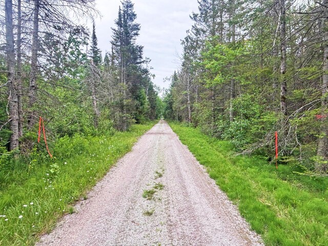 Off Big Cut Highway, Millersburg, MI 49759 - photo 21