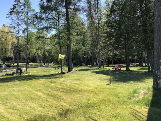 view of community with a lawn