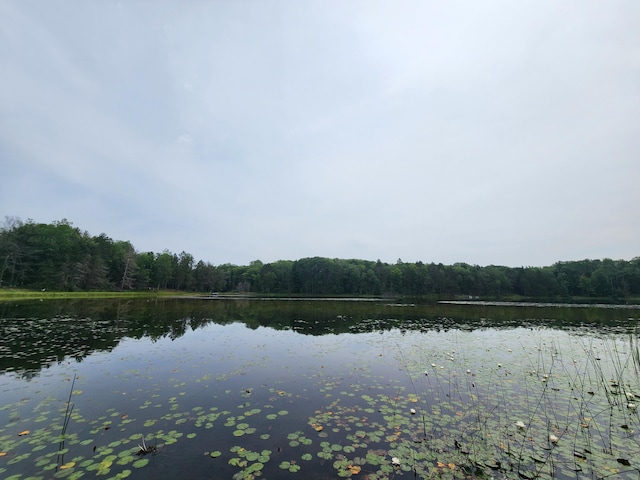 water view with a wooded view