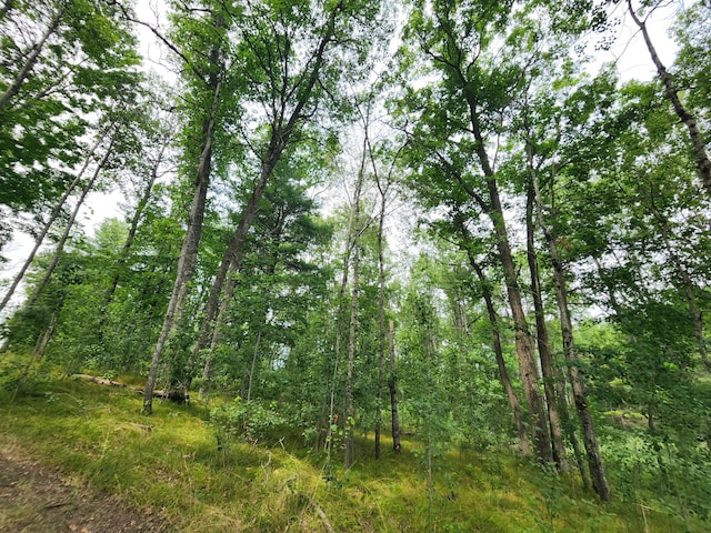 view of nature with a view of trees