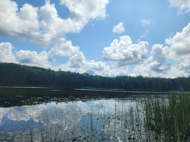 water view with a forest view