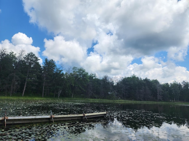 view of dock with a view of trees and a water view